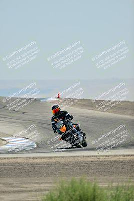 media/Sep-01-2024-Lets Ride (Sun) [[fd7c166674]]/C Group/Cotton Corners/